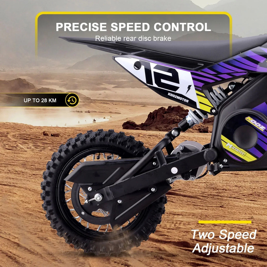 2026 NewMotoTec 36v 1000w (HP112E) Electric Dirt Bike Blue