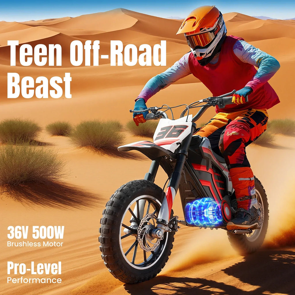 2026 NewQEASET electric dirt bike, 500W kids dirt bike for Boys Girls Age 8-14, Blue