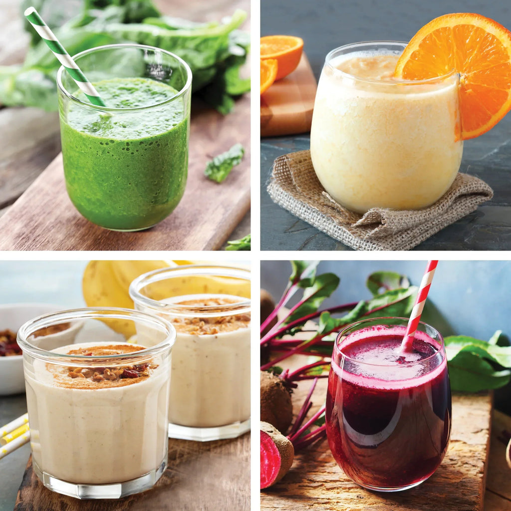 2026 NewNinja Nutri-Blender Plus