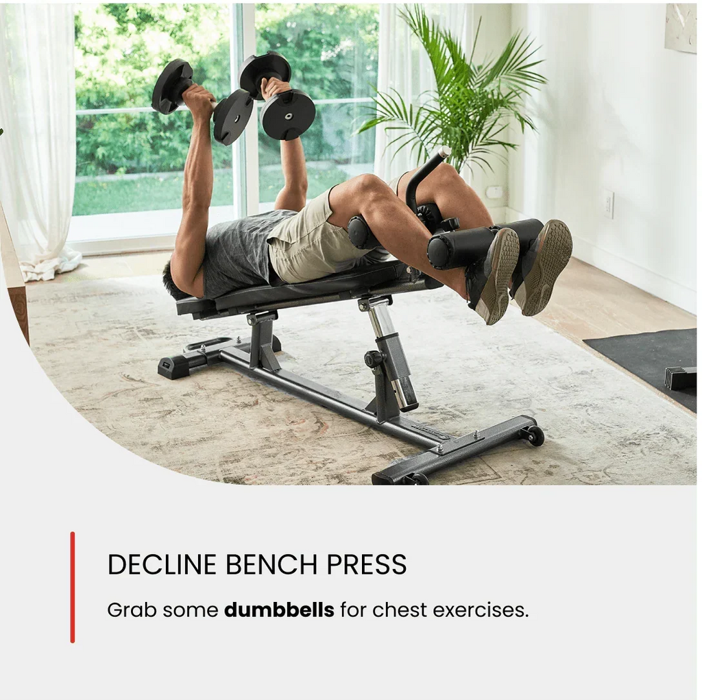 2026 NewFiner Form Semi, Commercial Sit Up Bench Elite, Reverse Crunch Handle for Ab Exercises, Reverse Crunch and Decline Sit Up with 4 Adjustable Height Settings, Black