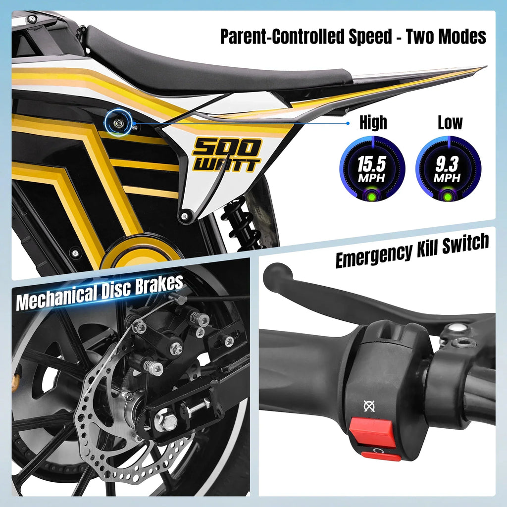 2026 NewQEASET electric dirt bike, 500W kids dirt bike for Boys Girls Age 8-14, Blue
