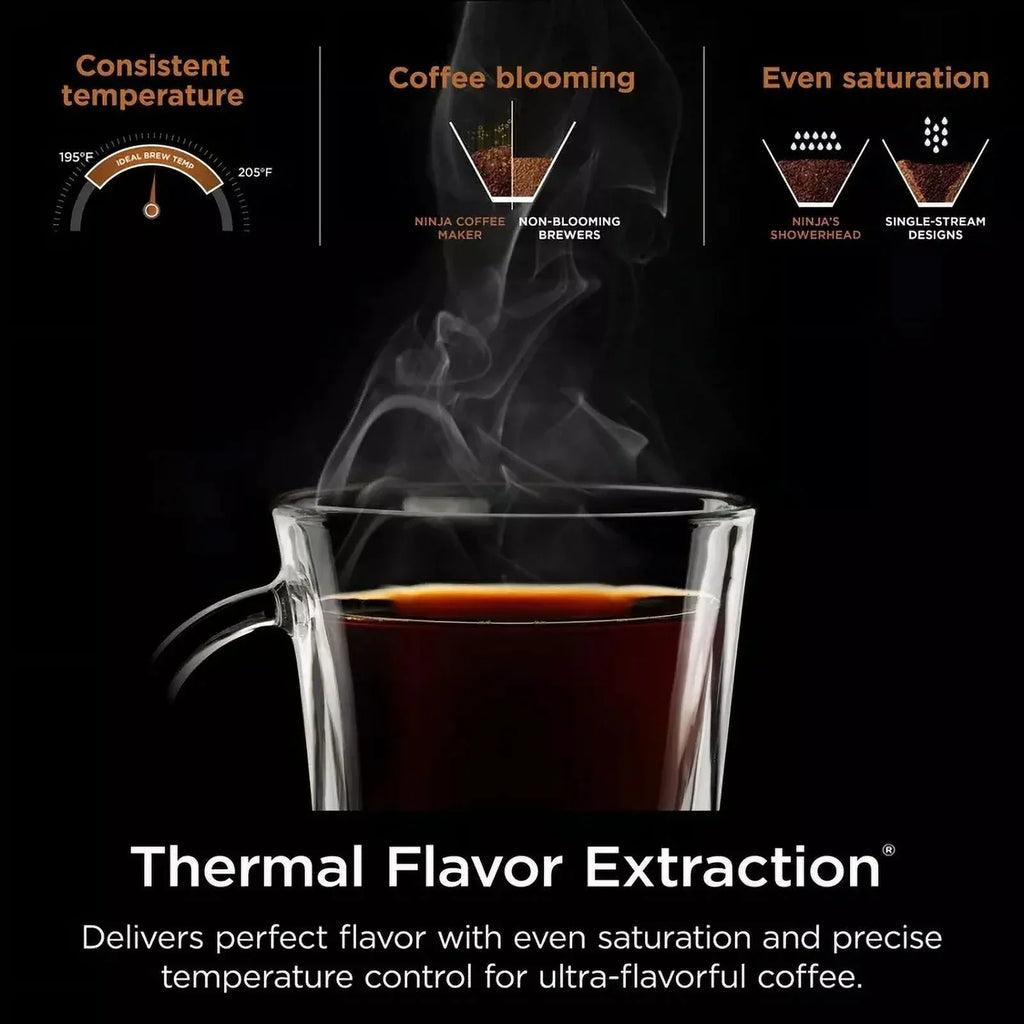 2026 NewNinja Hot & Iced XL Coffee Maker with Rapid Cold Brew