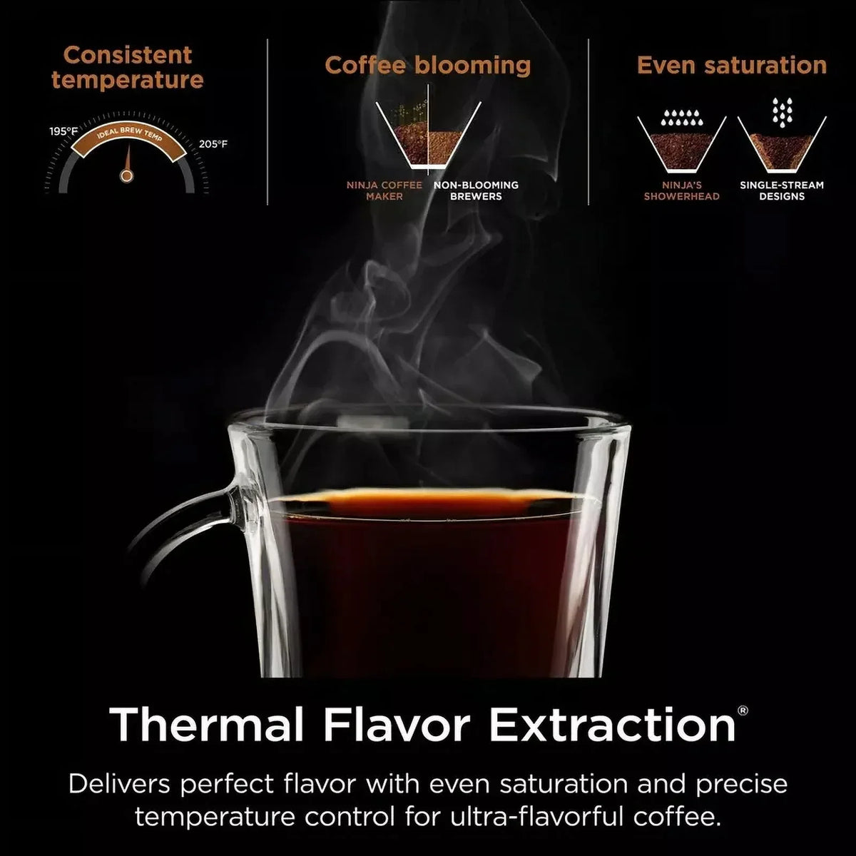 2026 NewNinja Hot & Iced XL Coffee Maker with Rapid Cold Brew